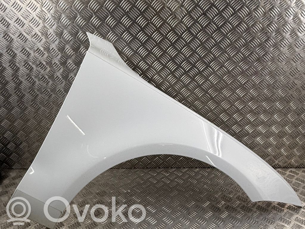 Fender