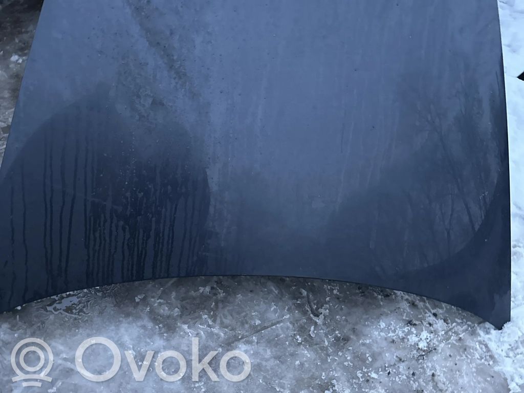 Dzinēja pārsegs (vāks)