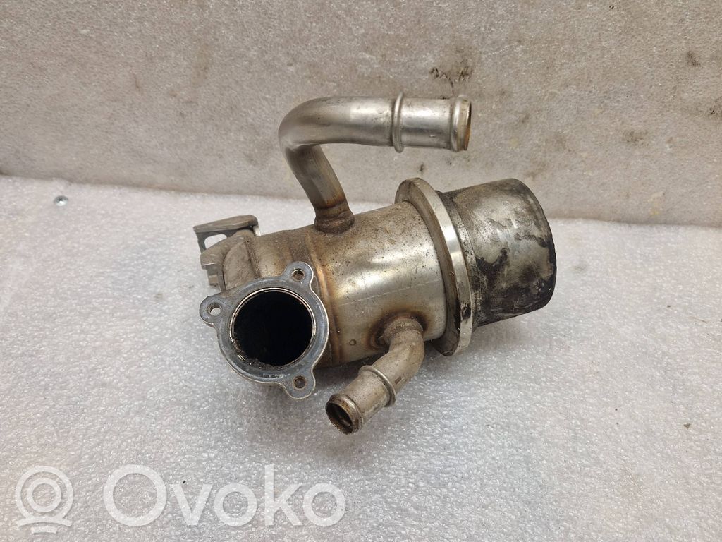 Volkswagen PASSAT B8 Refrigerador de la válvula EGR 