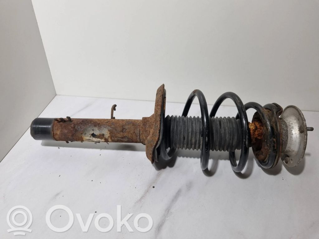 Amortyzator osi przedniej ze sprężyną   3411620,31303411620,10541315