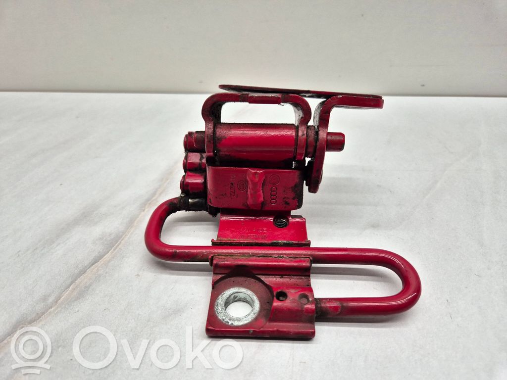 Audi A3 S3 8P Front door lower hinge 