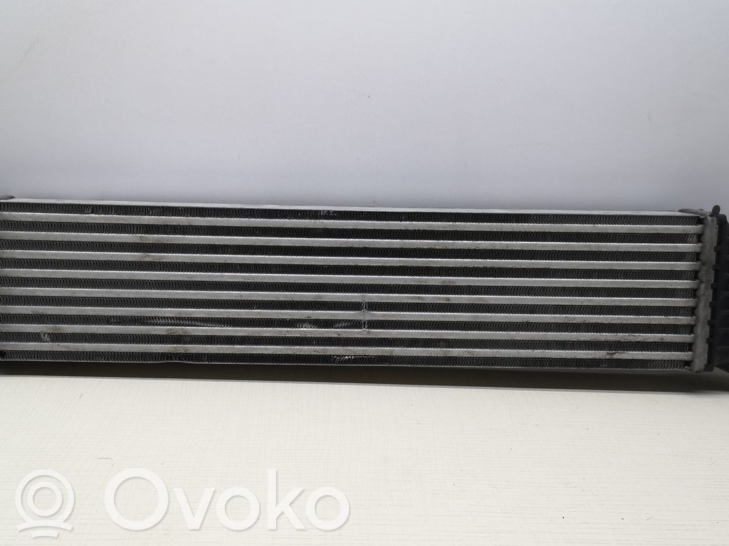 Intercooler radiator   8C1751000
