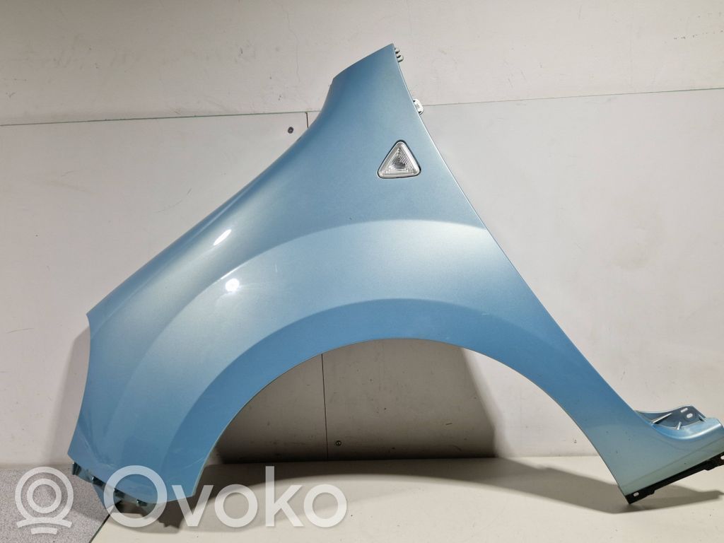 Renault Kangoo II Kotflügel 