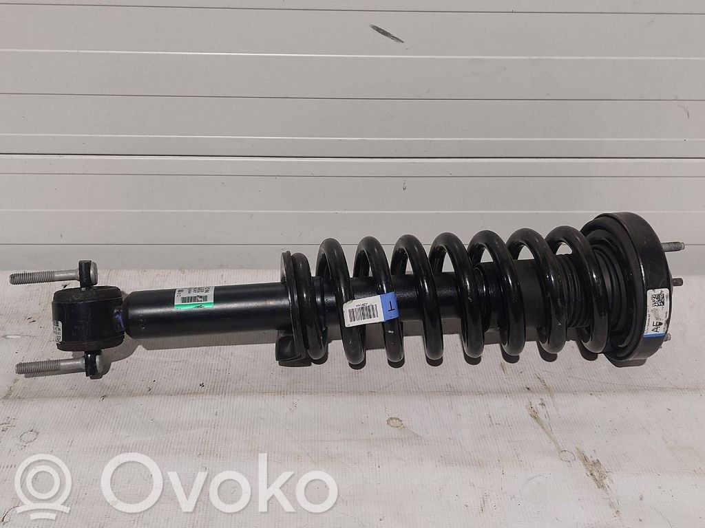 Ford F150 Ammortizzatore anteriore con molla elicoidale 