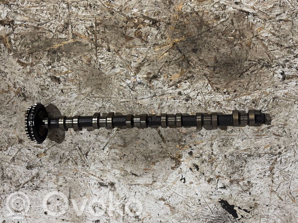 Sadales vārpsta   GC0983