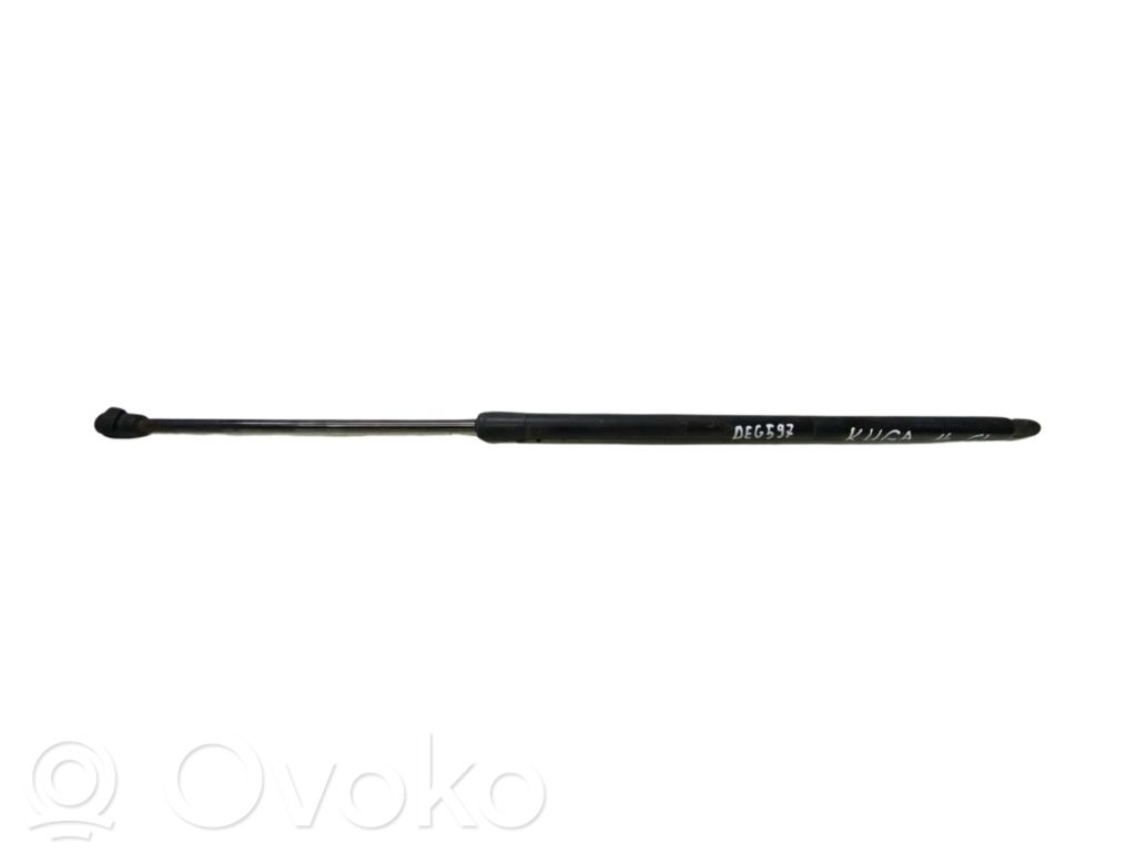 Ford Kuga II Tailgate/trunk strut/damper 
