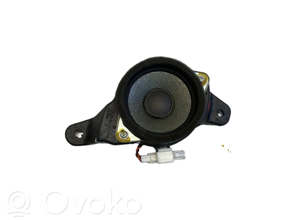 Hyundai Santa Fe Rear door speaker 