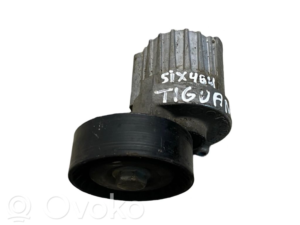 Volkswagen Tiguan Napinacz paska alternatora 