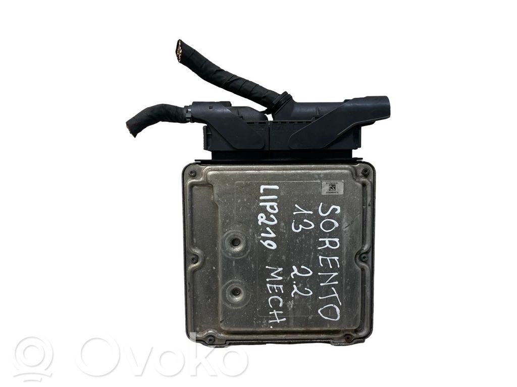 KIA Sorento Engine control unit/module 