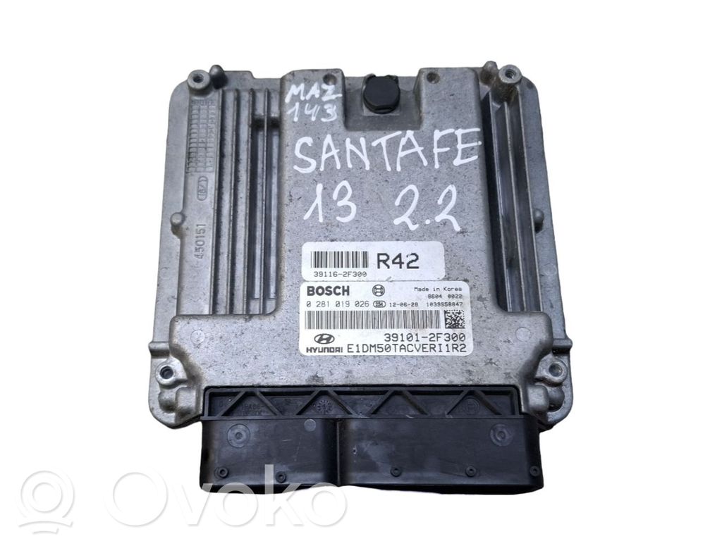 Hyundai Santa Fe Engine control unit/module 