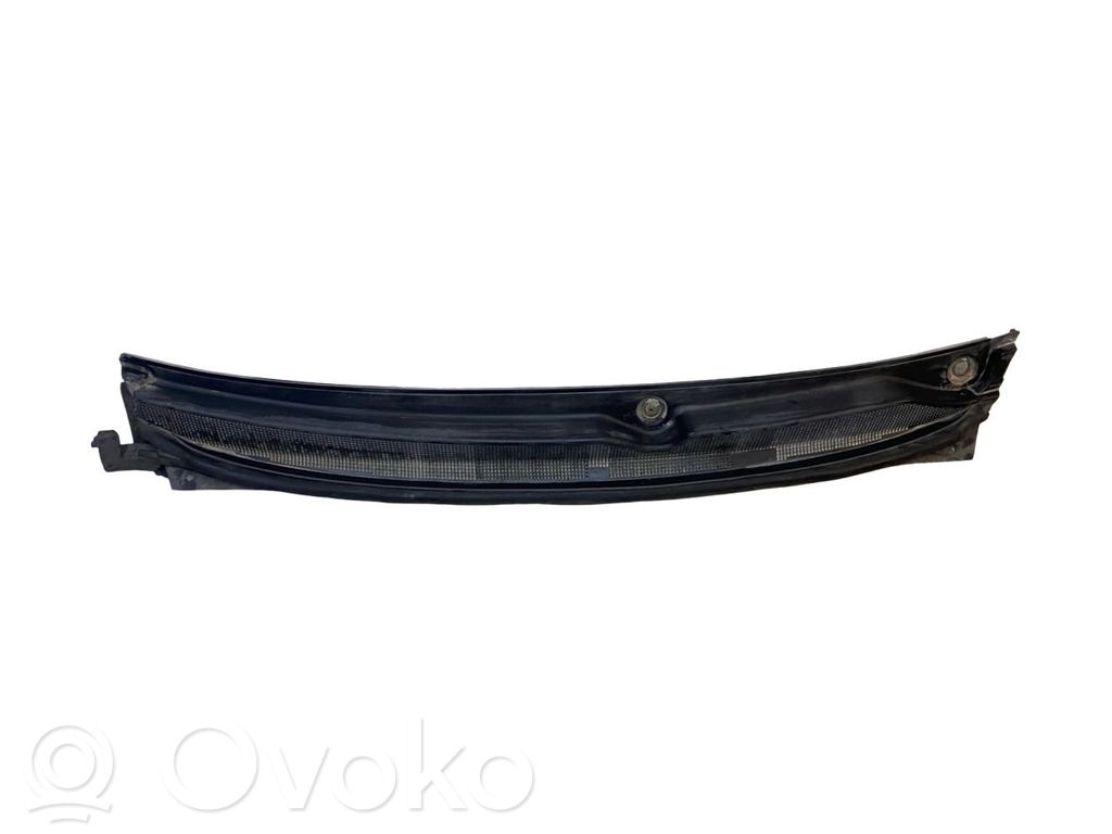 Chrysler Pacifica Moldura del limpia 