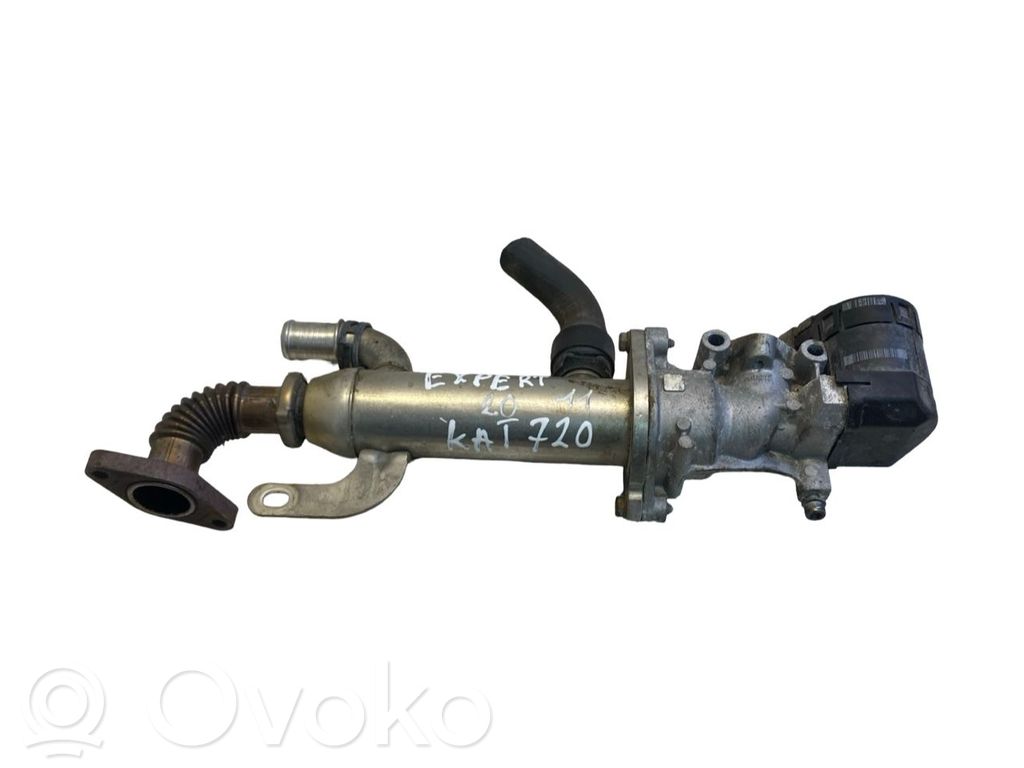 Peugeot Expert EGR vārsts 