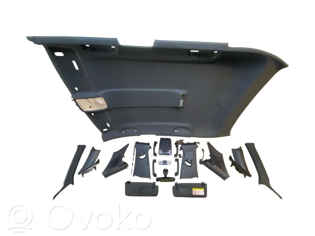 Audi A3 8Y Headlining 