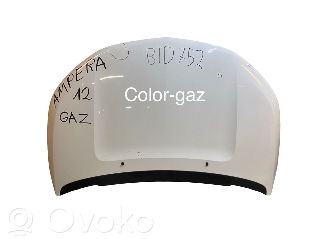 Dzinēja pārsegs (vāks)