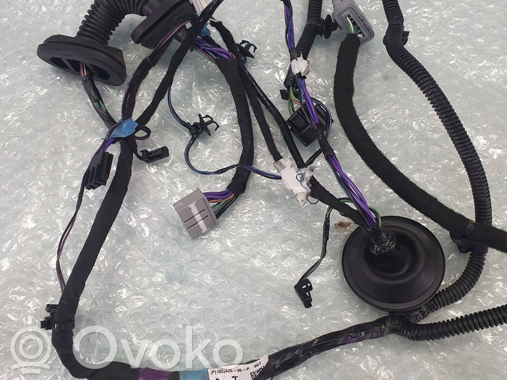 Tesla Model S Cableado de puerta trasera 