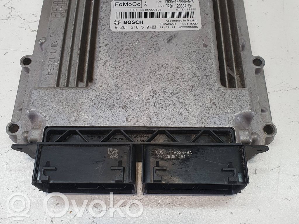 Ford Mustang VI Other control units/modules 
