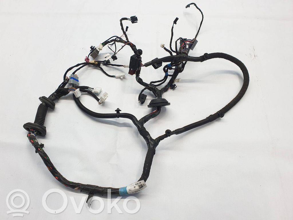 Front door wiring loom