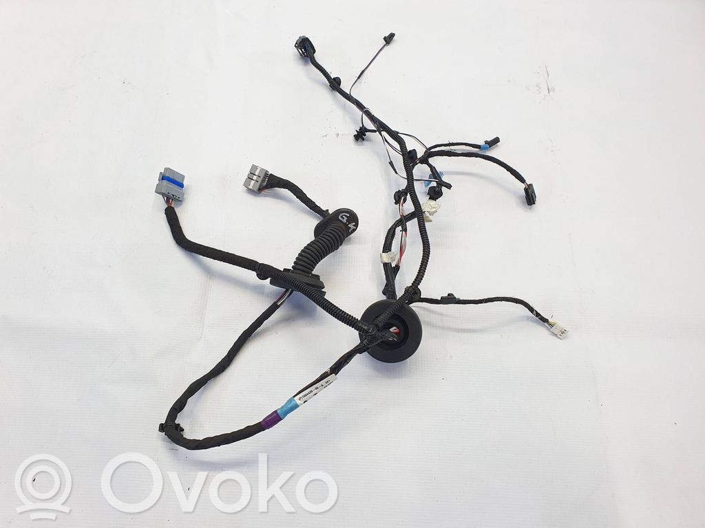 Tesla Model S Cableado de puerta delantera 