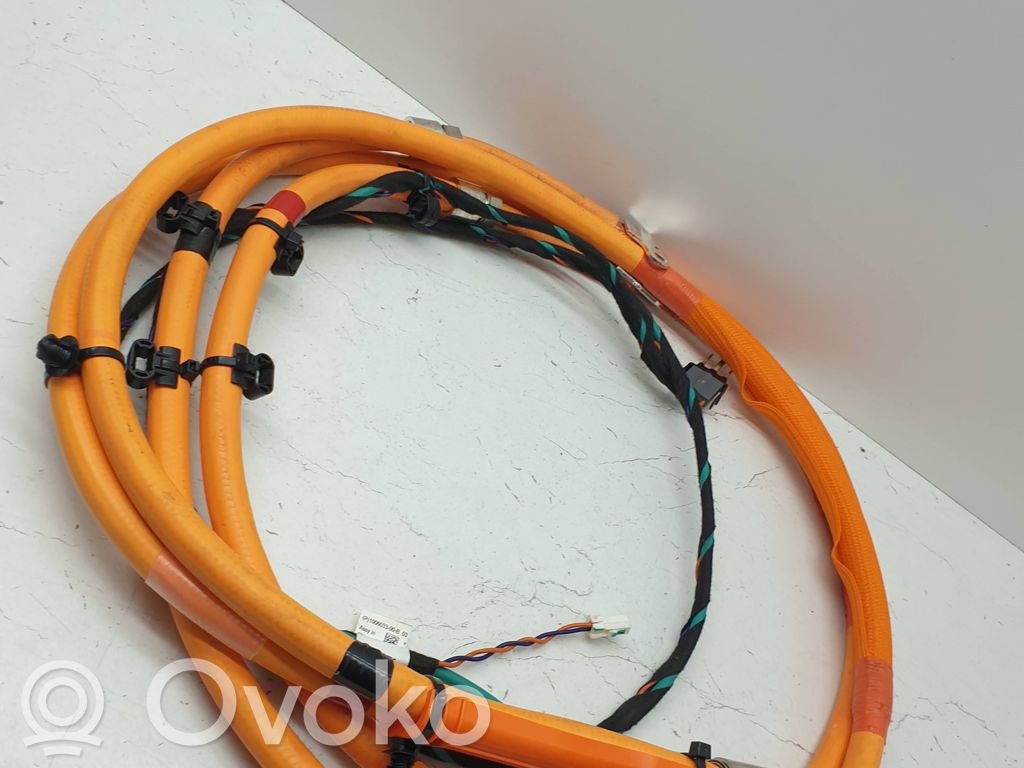 Tesla Model S Other wiring loom 