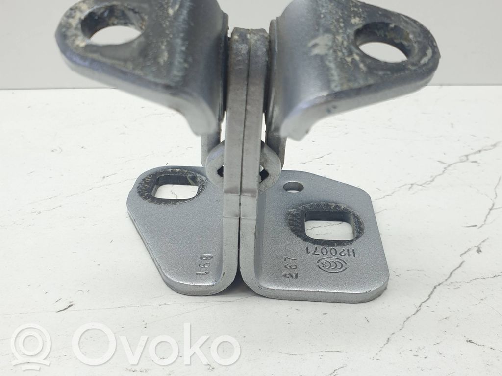 Rear door lower hinge   1120071