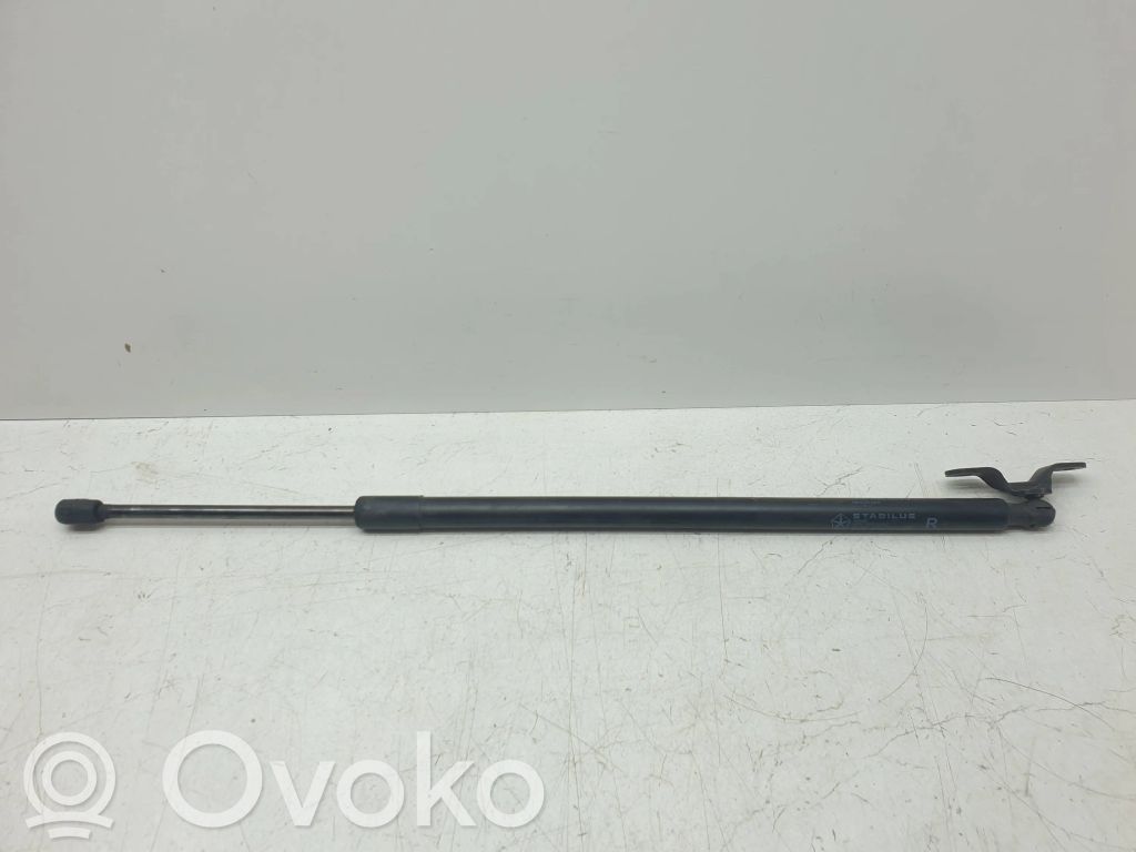 Dodge Durango Tailgate/trunk strut/damper 