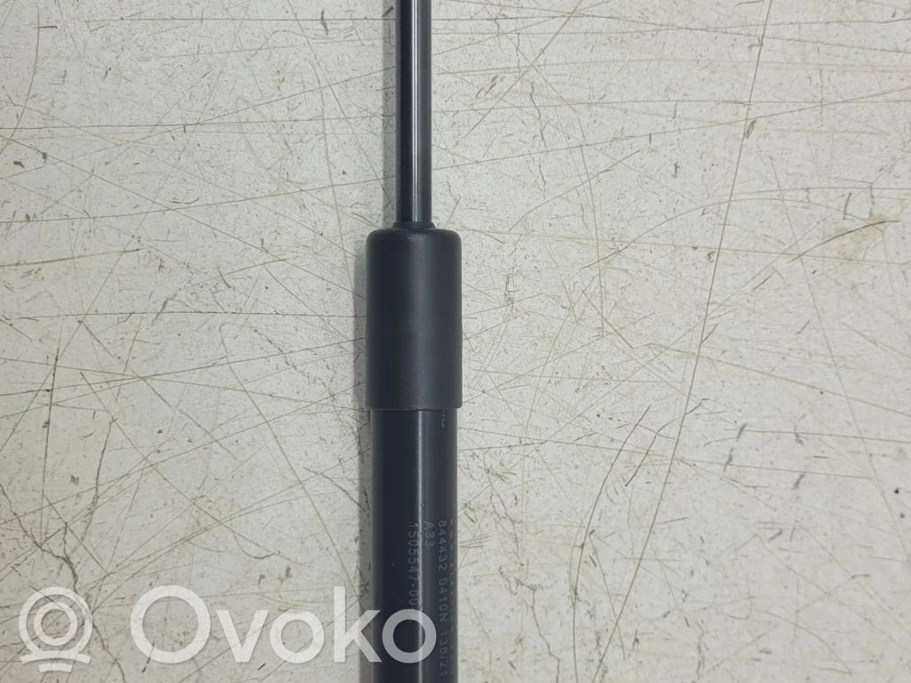 Tesla Model Y Amortizatorius variklio dangčio 