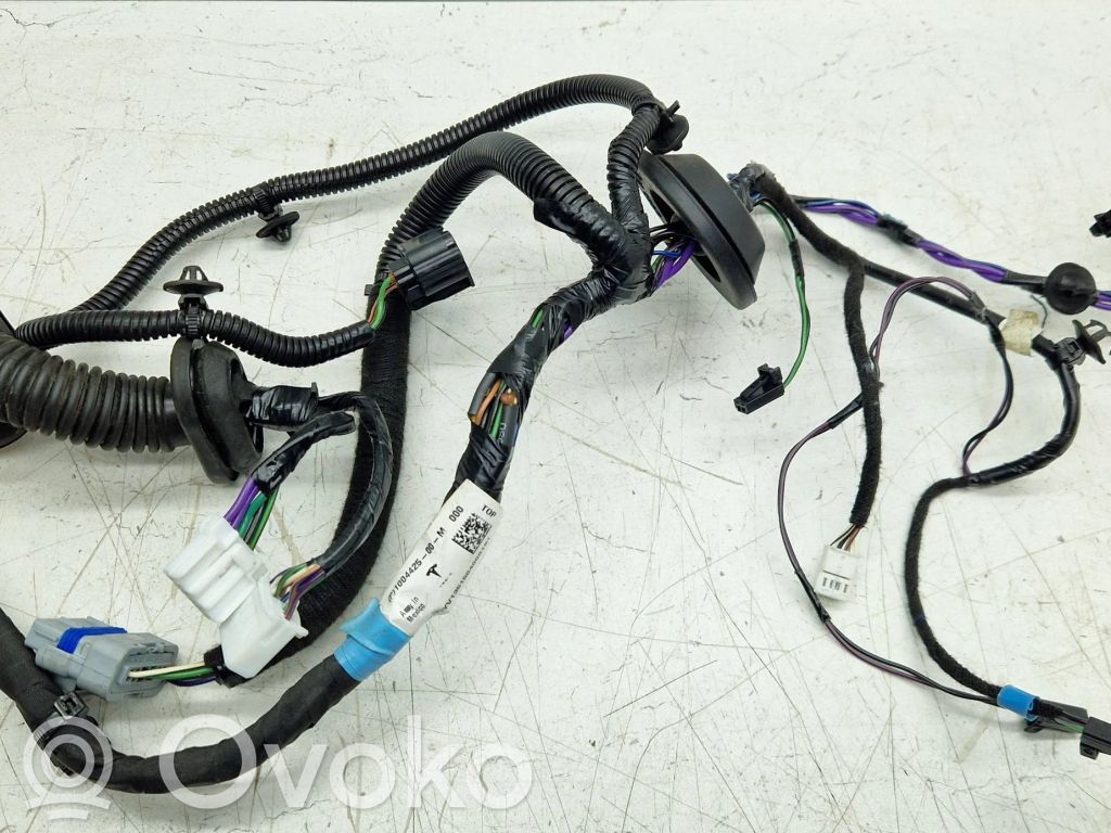 Tesla Model S Cableado de puerta trasera 