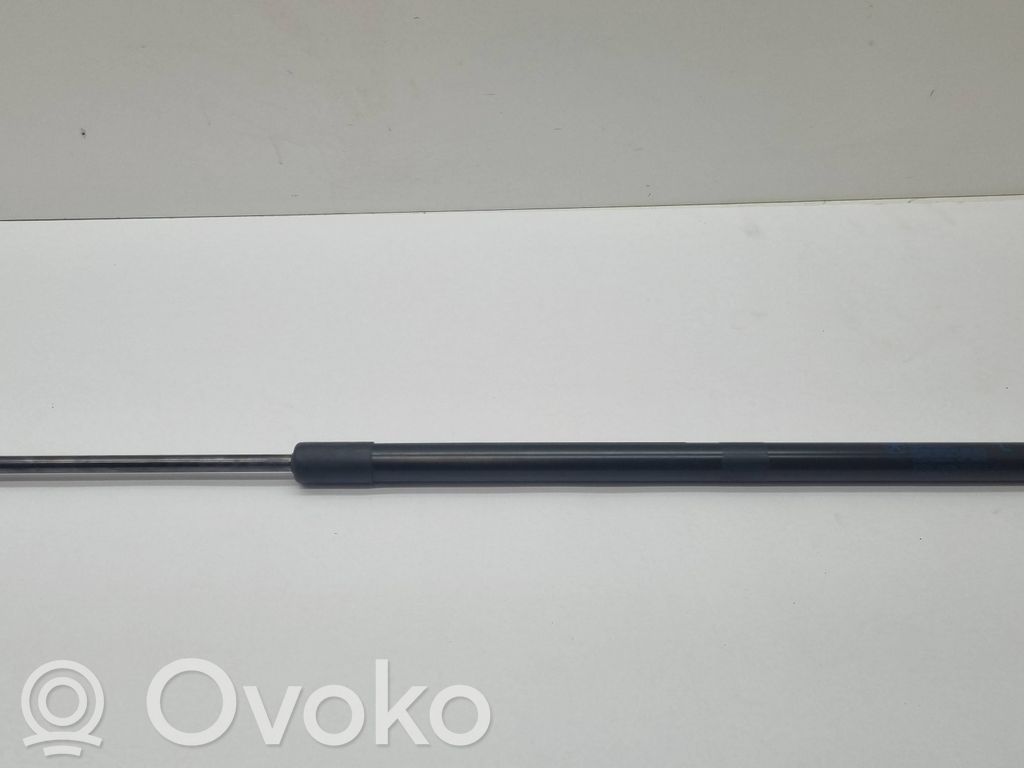 Dodge Durango Tailgate/trunk strut/damper 
