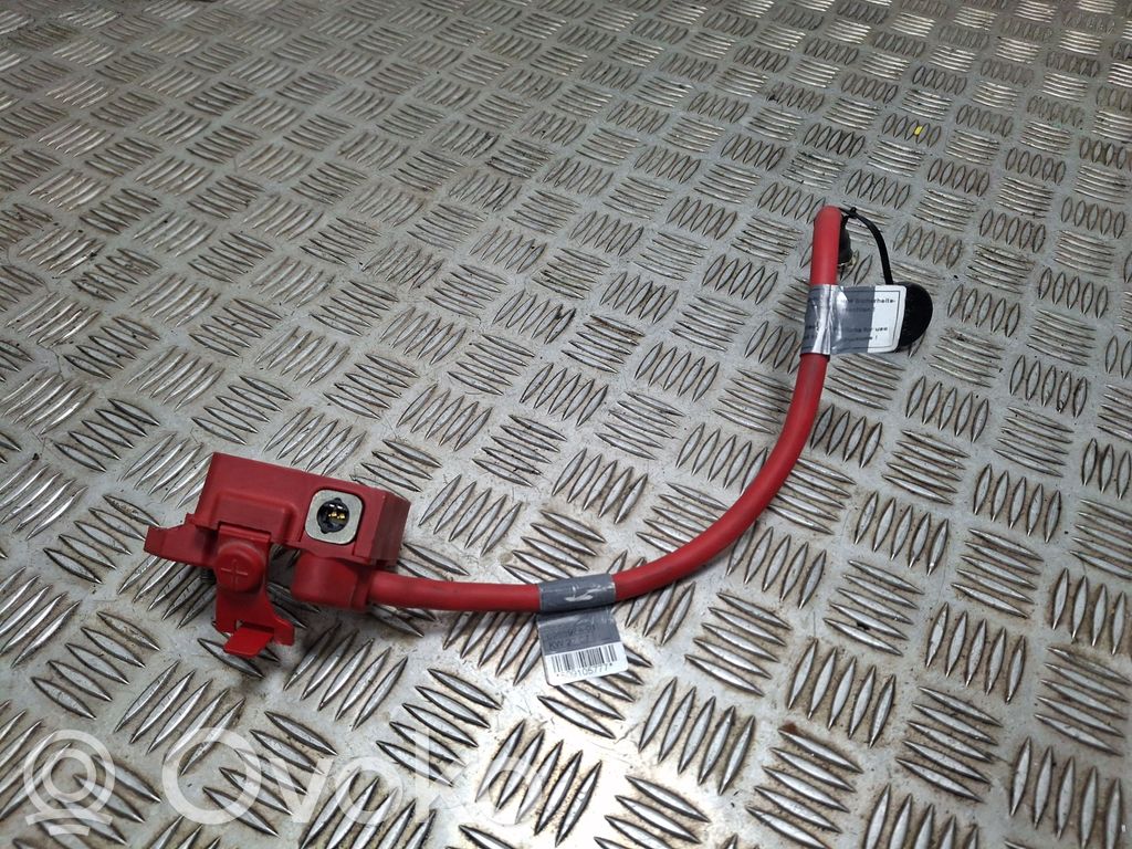 BMW 3 E90 E91 Pliusinis laidas (akumuliatoriaus) 