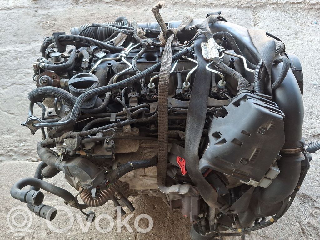 Dzinējs   D5204T7,1435962