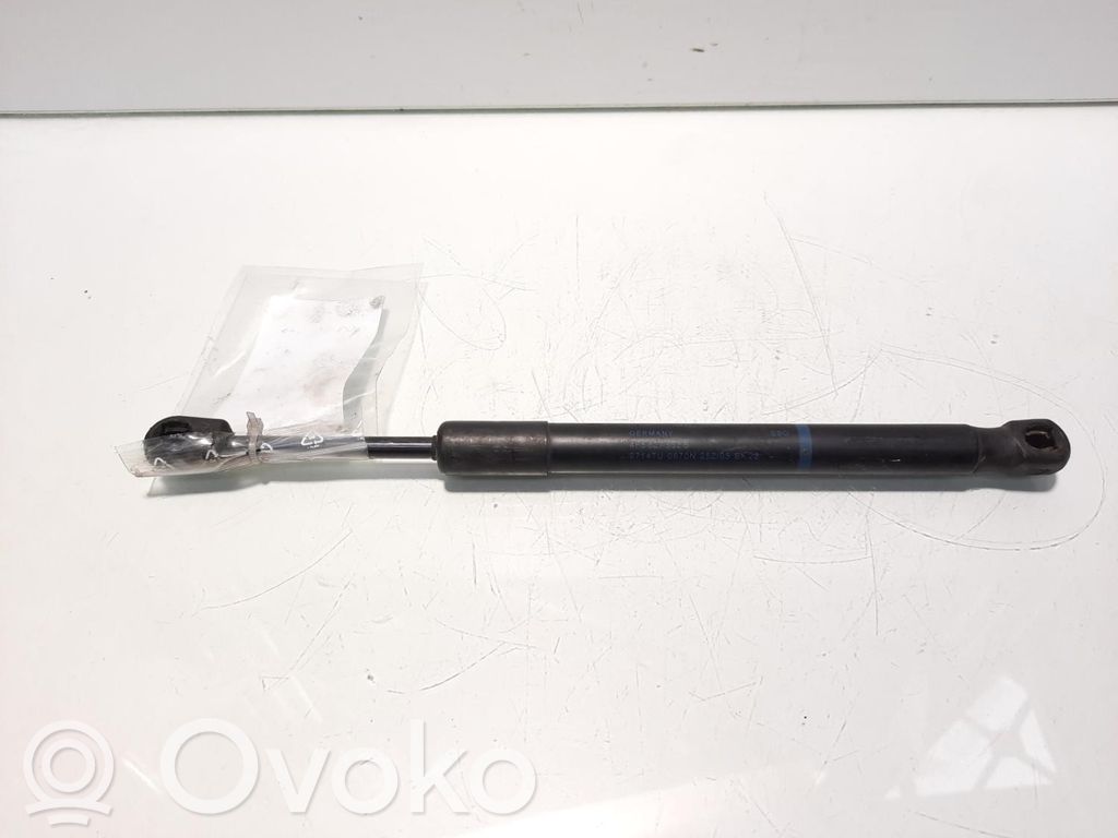 Audi A6 S6 C6 4F Ammortizzatore portellone anteriore/cofano