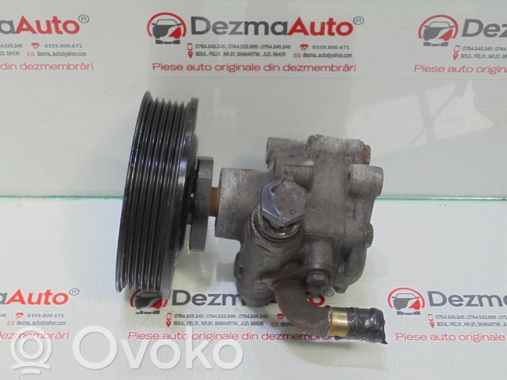Volkswagen Golf IV Pompa servosterzo 