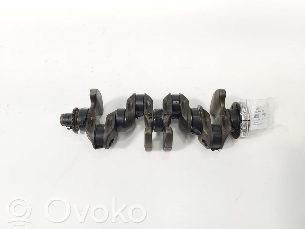 Seat Leon (5F) Arbore cotit 