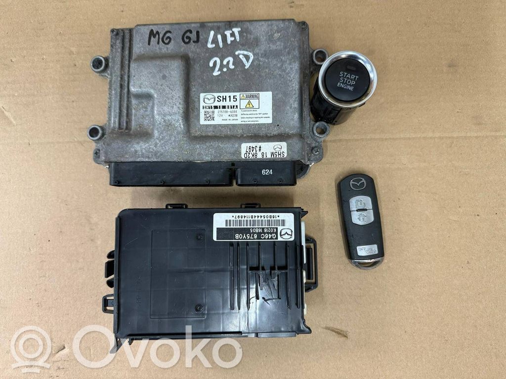 Engine control unit/module   500135419