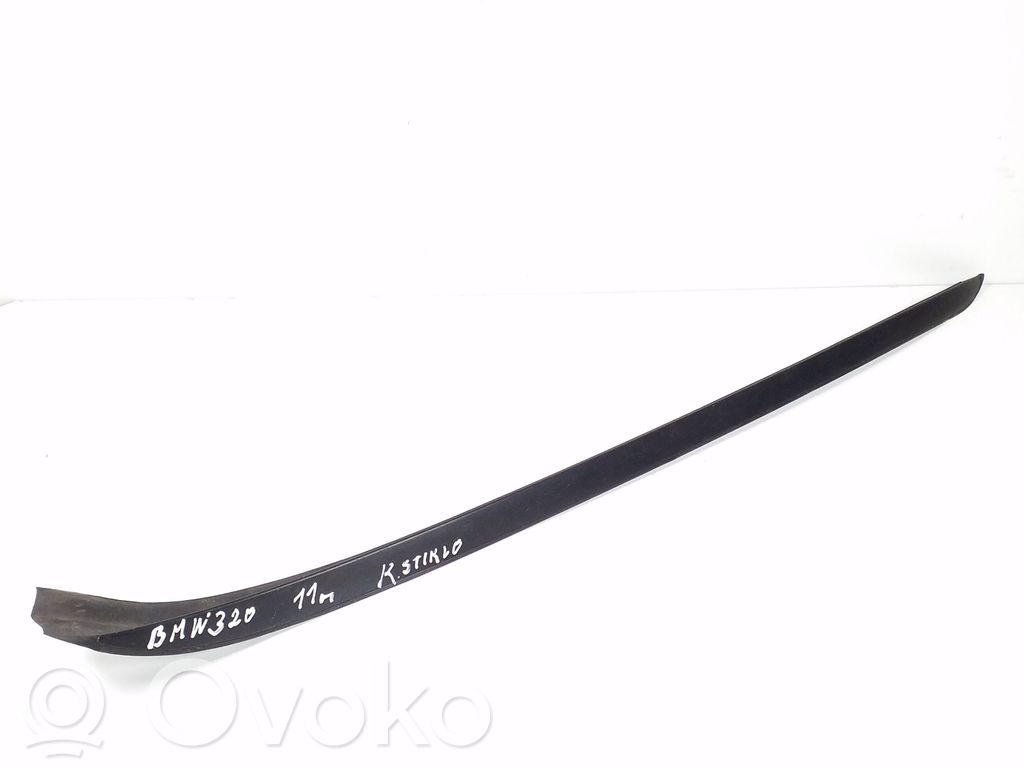 Windshield trim   7179263