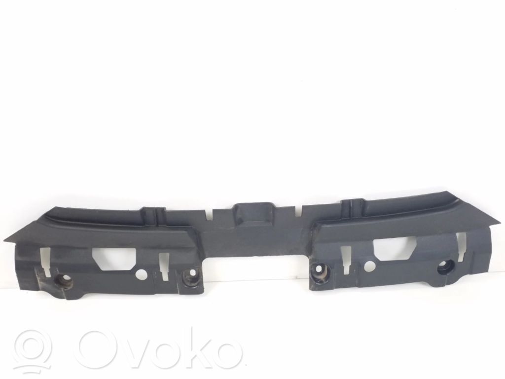 Audi e-tron Engine bonnet/hood lock trim molding 