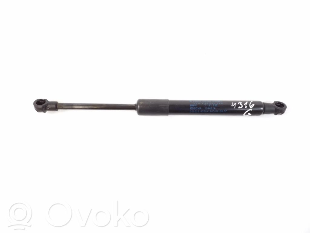 BMW Z4 E89 Tailgate strut 