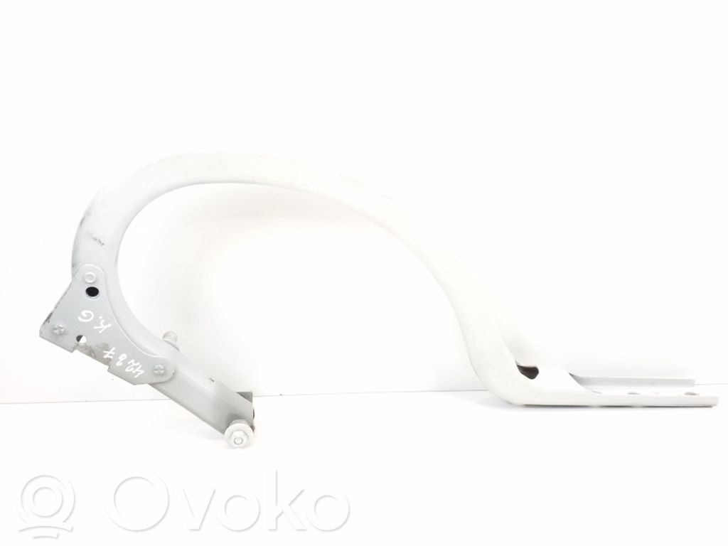 BMW 5 F10 F11 Tailgate/trunk/boot hinge 