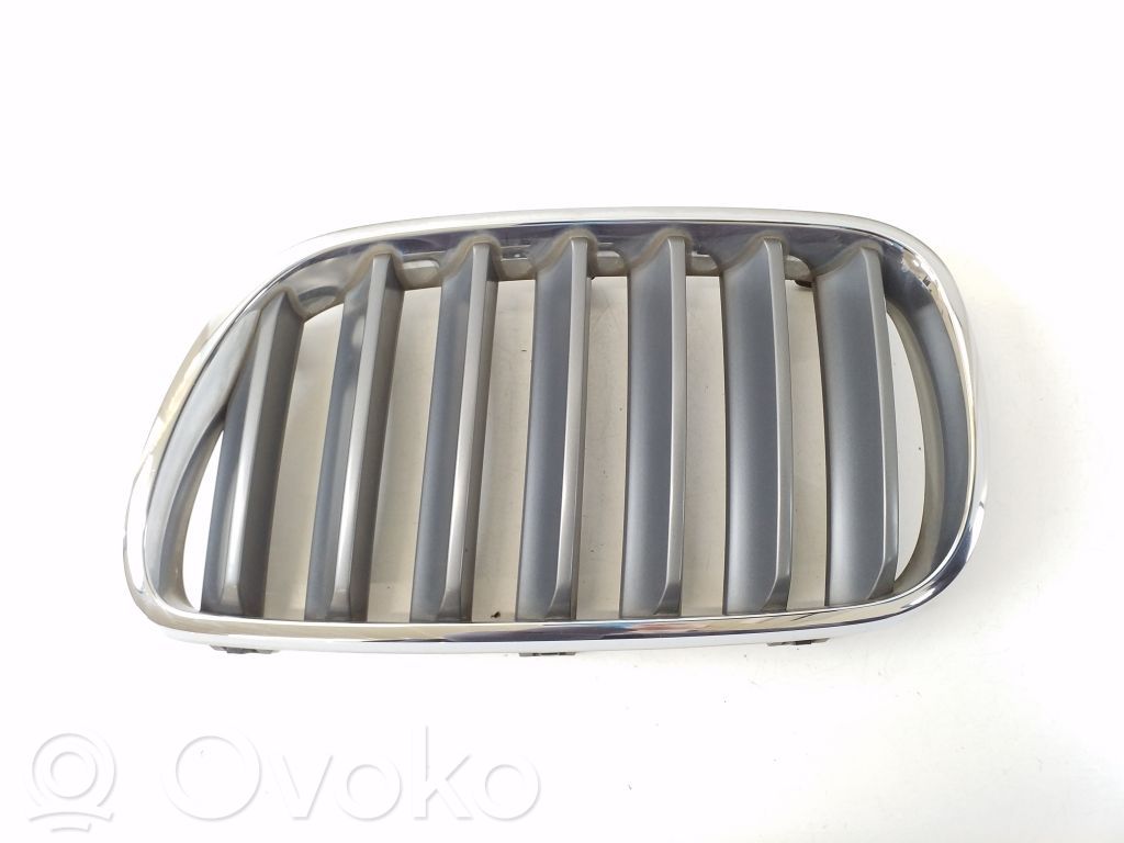 BMW X3 E83 Front grill 
