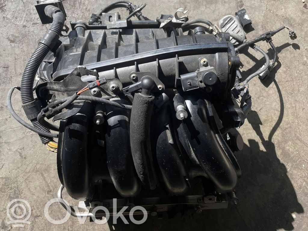 Kolektorius įsiurbimo   7520343