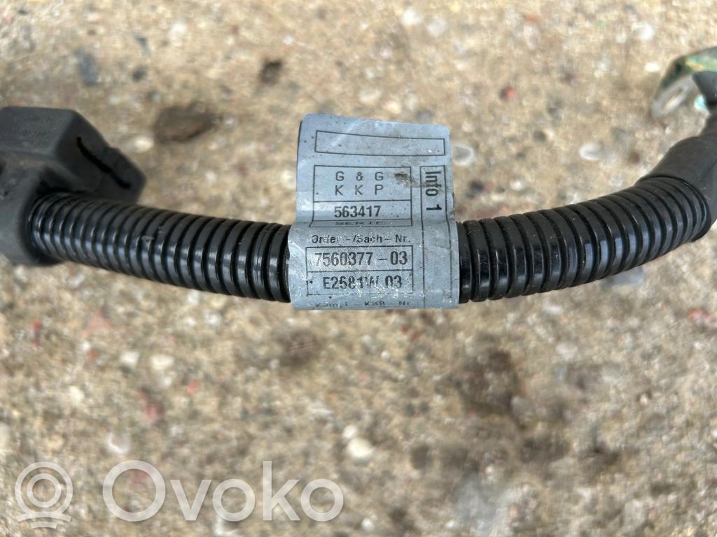 Wiązka alternatora   7560377,7560378,61023734,50648315