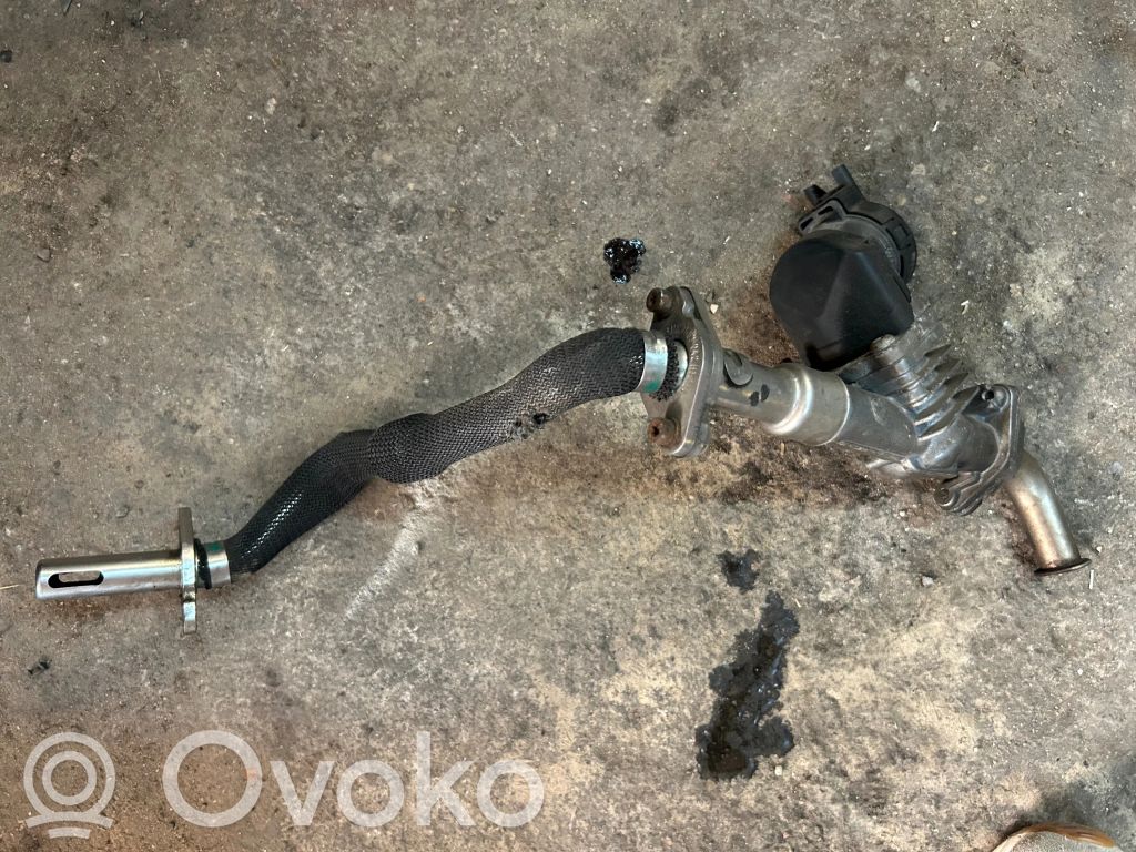 EGR vožtuvas   756324104