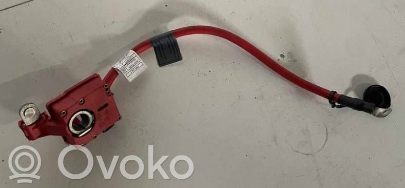 Pluskaapeli (akku)   9217031,EEV74Y,KW3011