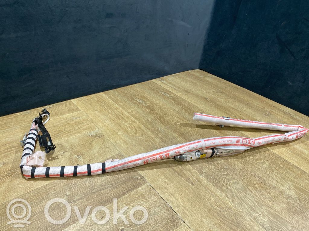 Land Rover Range Rover Evoque L551 Airbag del techo 