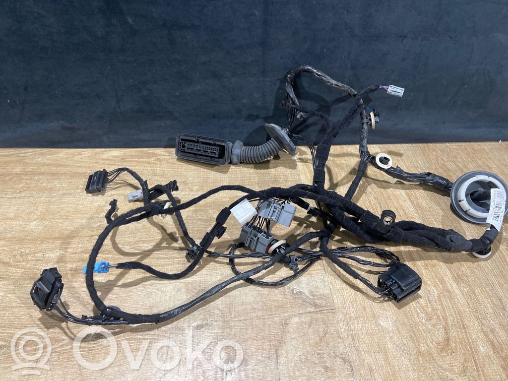 Jaguar F-Pace Cableado de puerta trasera 