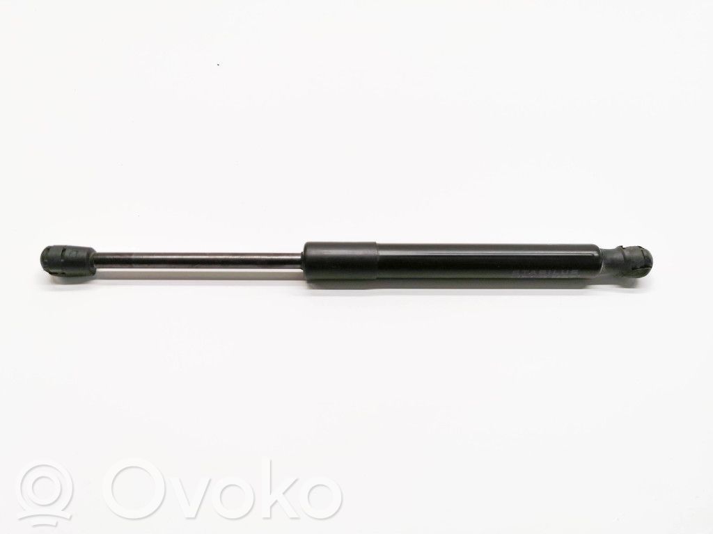Tesla Model 3 Front bonnet/hood damper/strut 