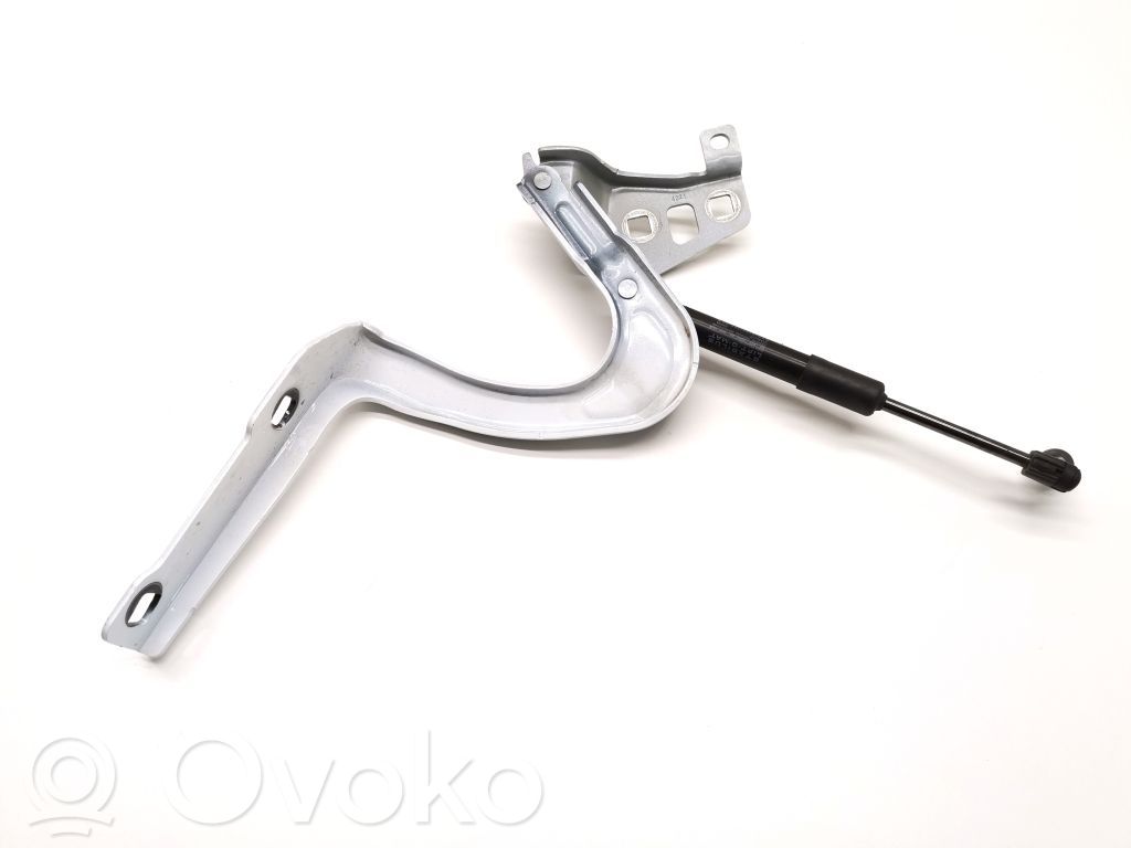 Tesla Model Y Engine bonnet/hood hinges 