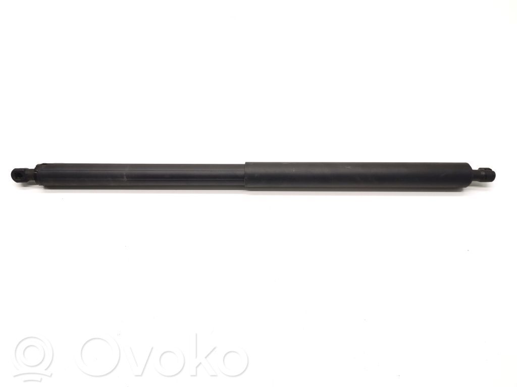 Tesla Model Y Tailgate strut 