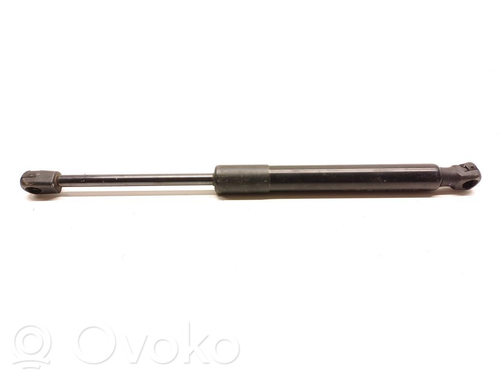 Tesla Model 3 Tailgate strut 