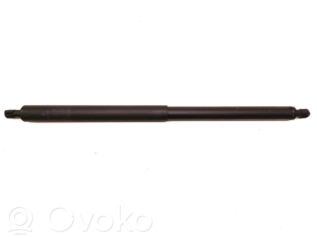 Tesla Model Y Tailgate strut 